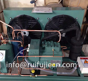 kaufen Einheit - abgekühlte Kondensator-Einheit Spb09kl Bitzer Luft für Modell 4Tes-9y online manufacture