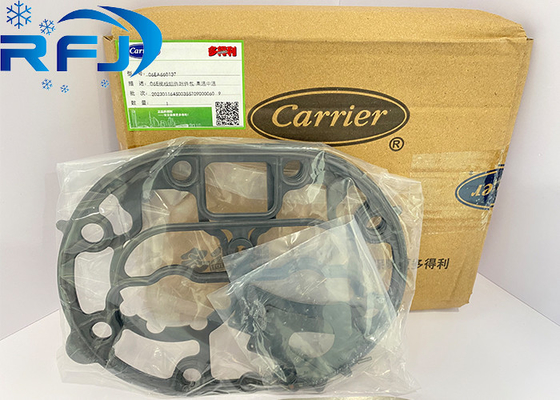 kaufen Träger 06EA660137 Ventilplatten-Set 06E Carlyle online manufacture
