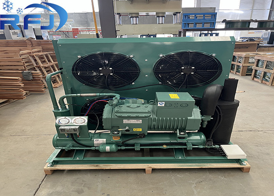 kaufen 2 HP halbhermetische, mit Luftgekühlte Niedertemperatur-Kondensationseinheit für Kühlsysteme online manufacture