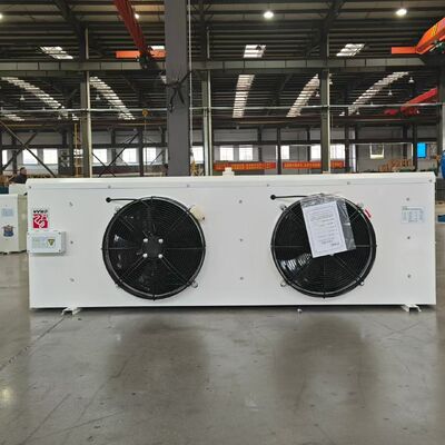 kaufen DL20 Kompakter Kaltlagerluftkühler Verdampfer online manufacture