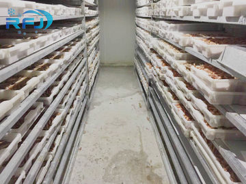 Frischer Thunfisch-kleiner Tunnel-Platten-Explosions-Weg in der kalten Kontakt-Platte Gefrierschrank-industrielle Meeresfrüchte Iqf