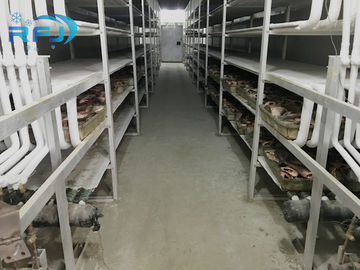 Grad Temp des Wärmedämmungs-industrieller Kühlraum--60~-0 für Fleisch-/Fisch-Speicher