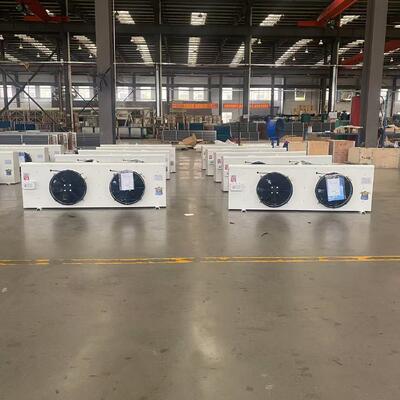 DL30 6,5 kW Wandmontage-Luftkühler-Verdampfer für 30㎡-Kühlraum