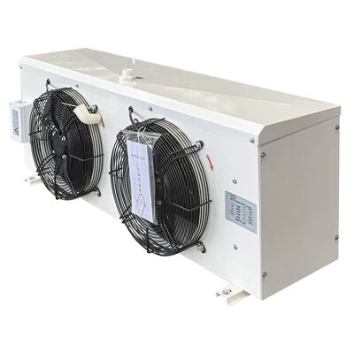 RFJ Energieeinsparender DD22-Dampfer mit schneller Auflösung für Kühlraum für mittelgroße und kleine Lebensmittel
