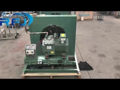 2 HP halbgeschlossene, mit Luftgekühlte Niedertemperatur-Kondensationseinheit